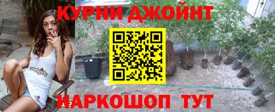 гидра Волгодонск