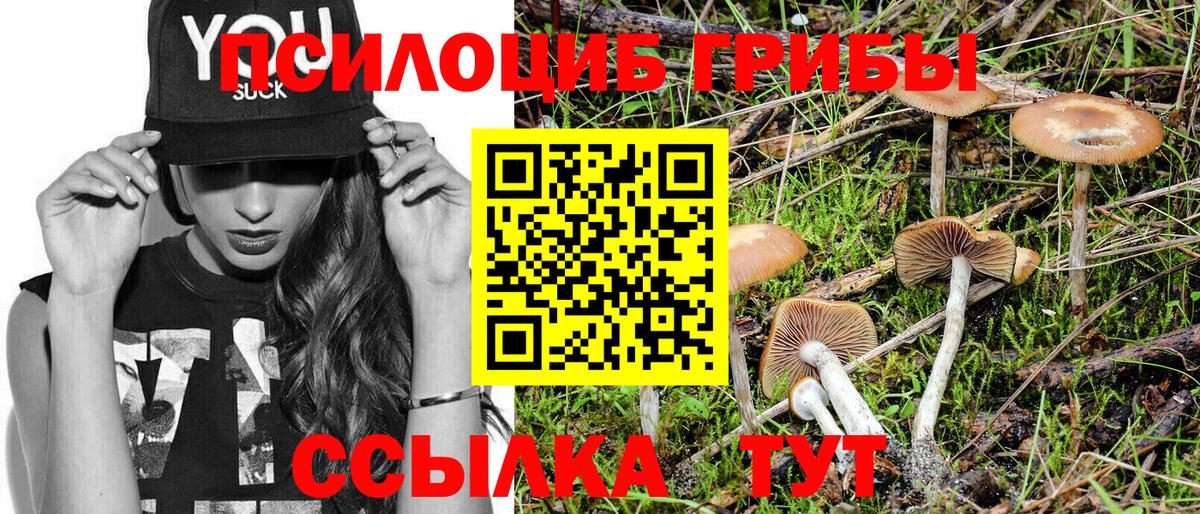 Галлюциногенные грибы Cubensis Истра