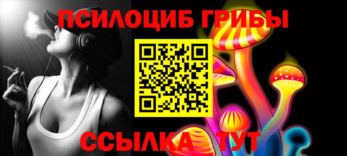 Псилоцибиновые грибы Psilocybe  Вход с VPN  Истра 